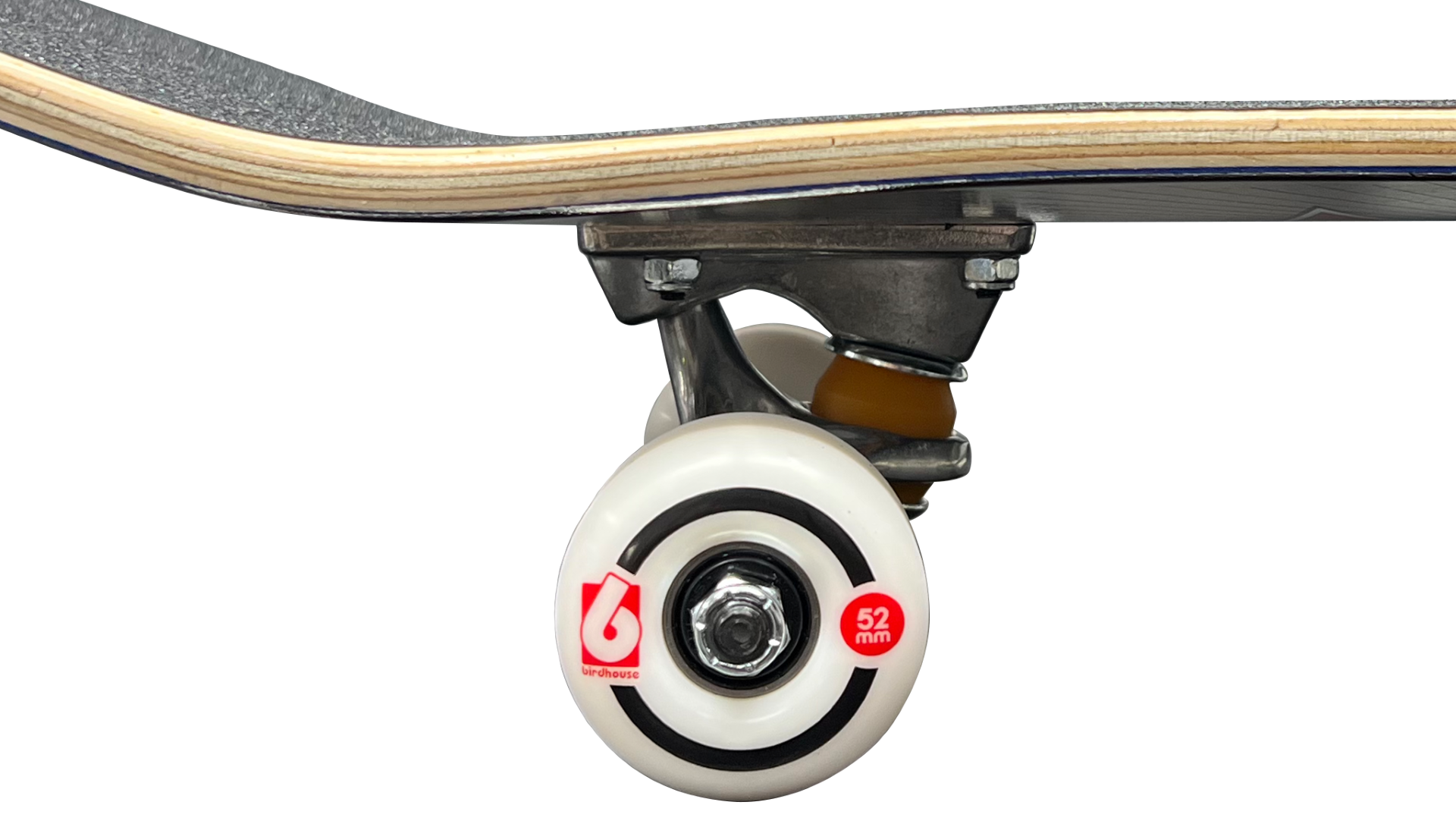 Lizzie Armanto LA Butterfly Complete